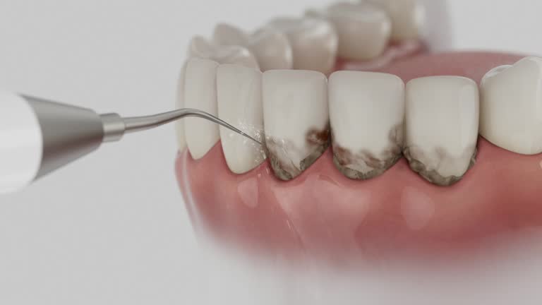 Reliable Dental contractor in Spring Hope, NC by Dentist Open Now